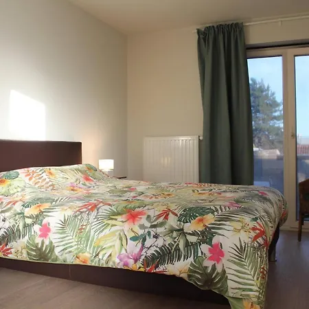 - Adinkerke - 't Voetbrugsje Comfortabele Nieuwbouw Holiday home De Panne